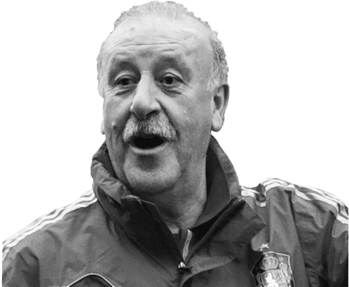Vicente del Bosque